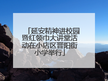 延安精神进校园暨红领巾大讲堂活动在小店区晋阳街小学举行